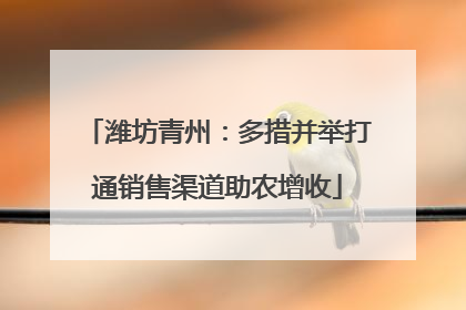 潍坊青州：多措并举打通销售渠道助农增收